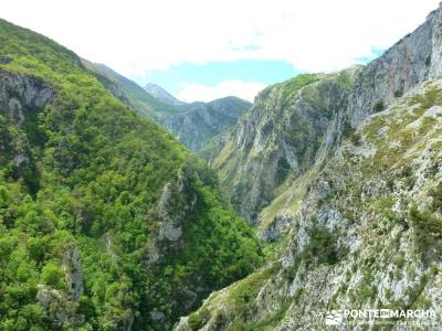 Picos de Europa-Naranjo Bulnes(Urriellu);Puente San Isidro; caminito del rey monasterio de piedra